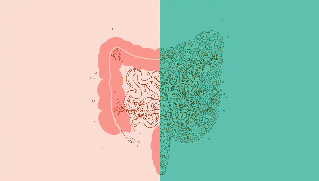 Probióticos para adultos: beneficios para la digestión y defensas